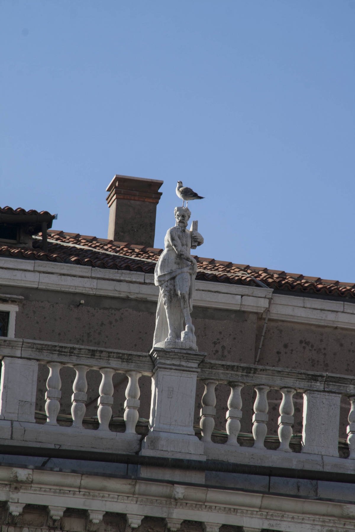 Venezia Edifici Monumenti 