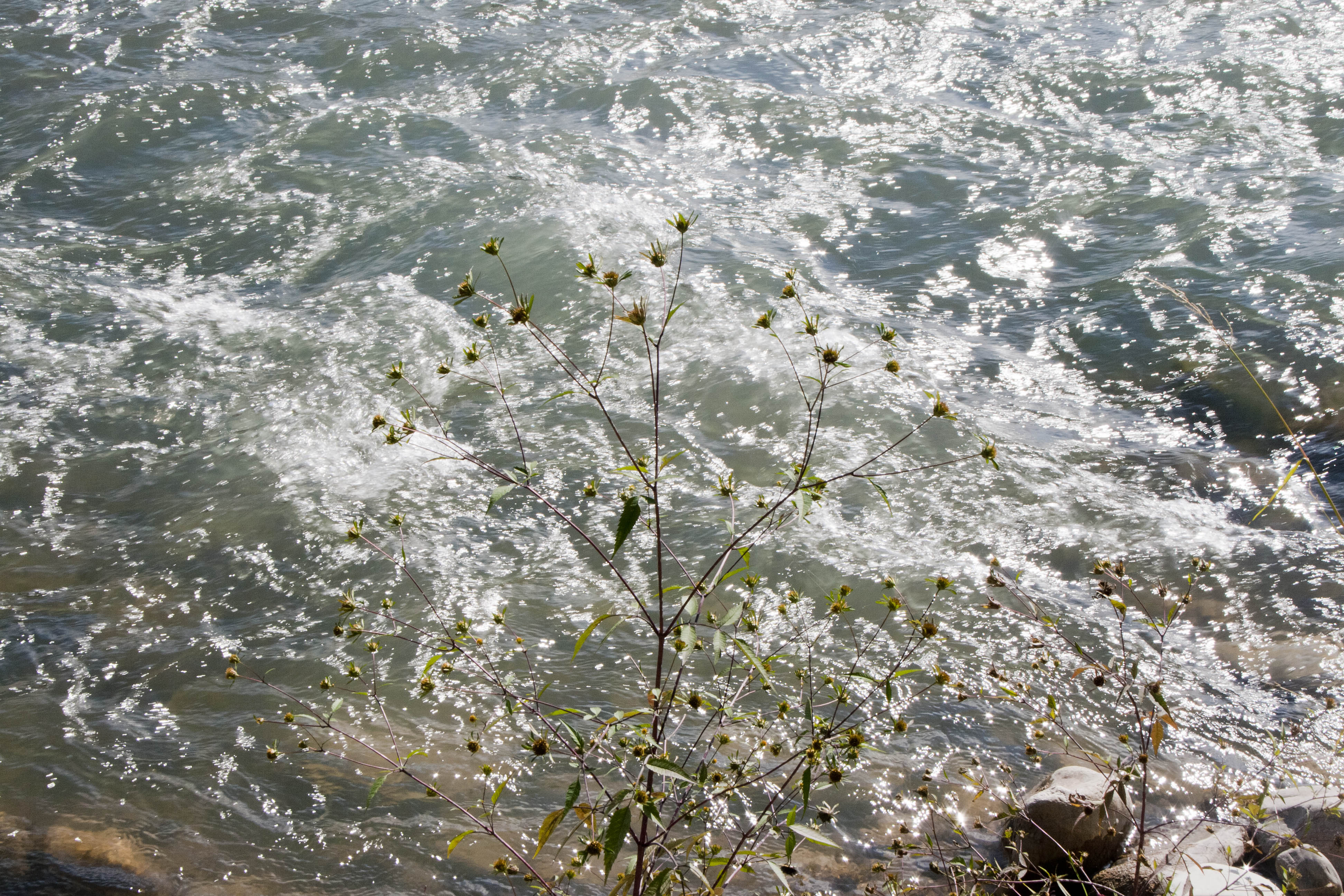 Vignola (Mo) Fiume Panaro 