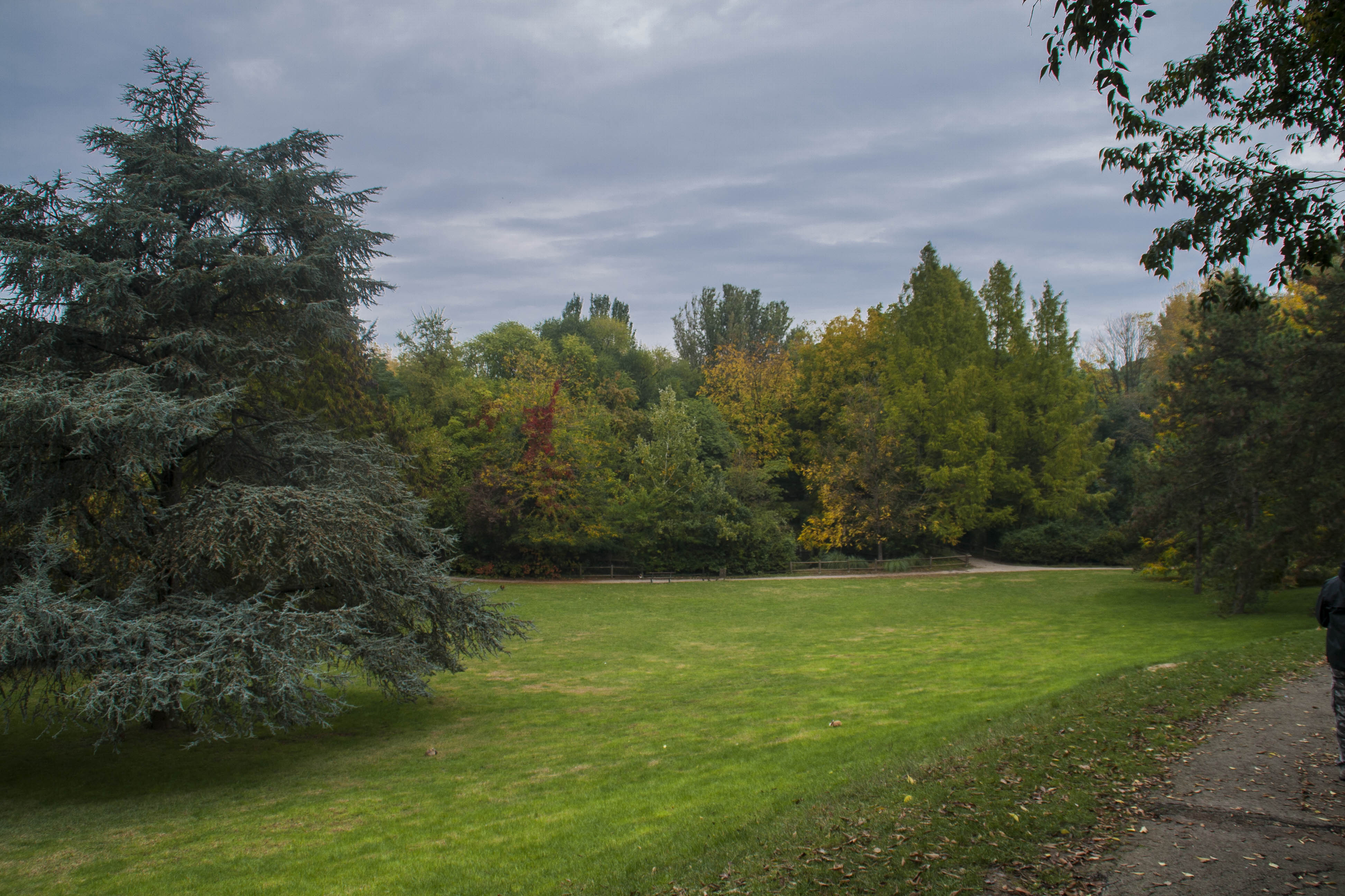 Faenza Autunno Cielo Parco Bucci