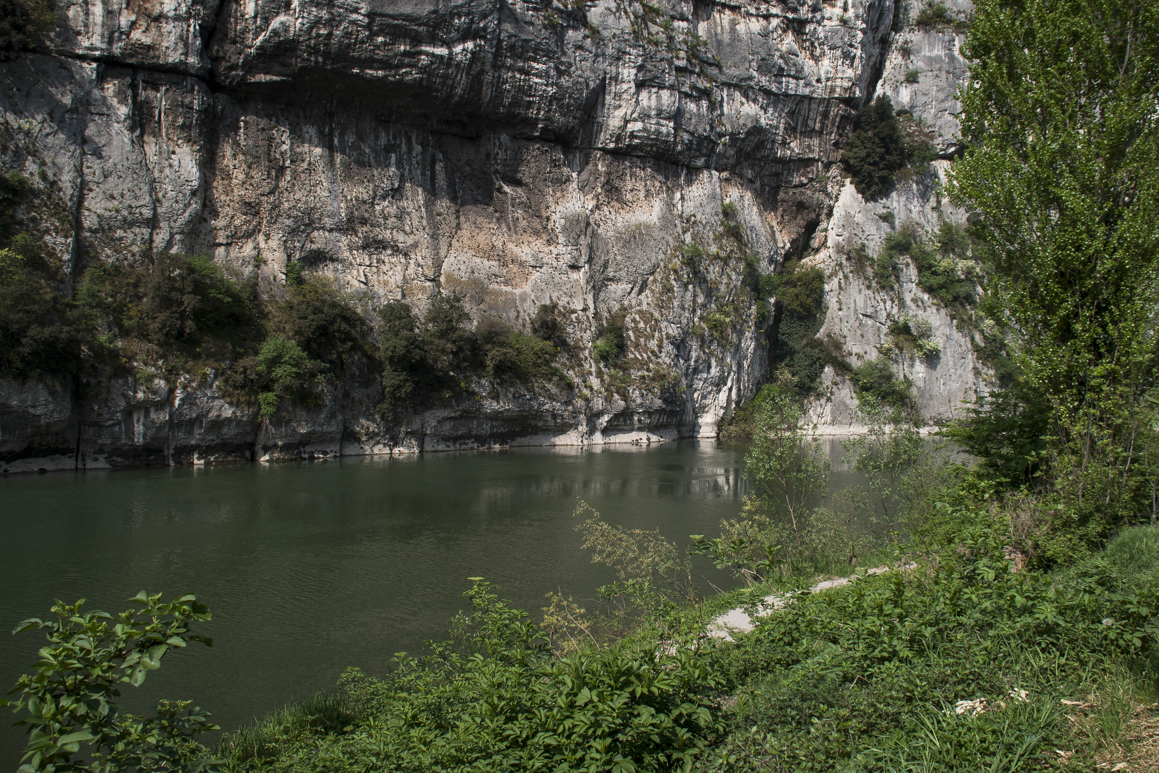 Chiusa (Tn) Adige Natura 