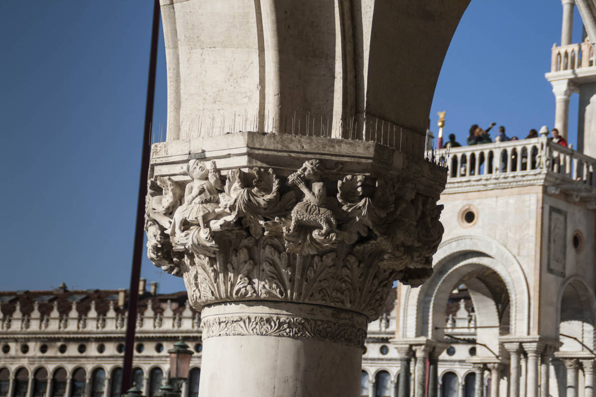 Venezia Edifici Monumenti 