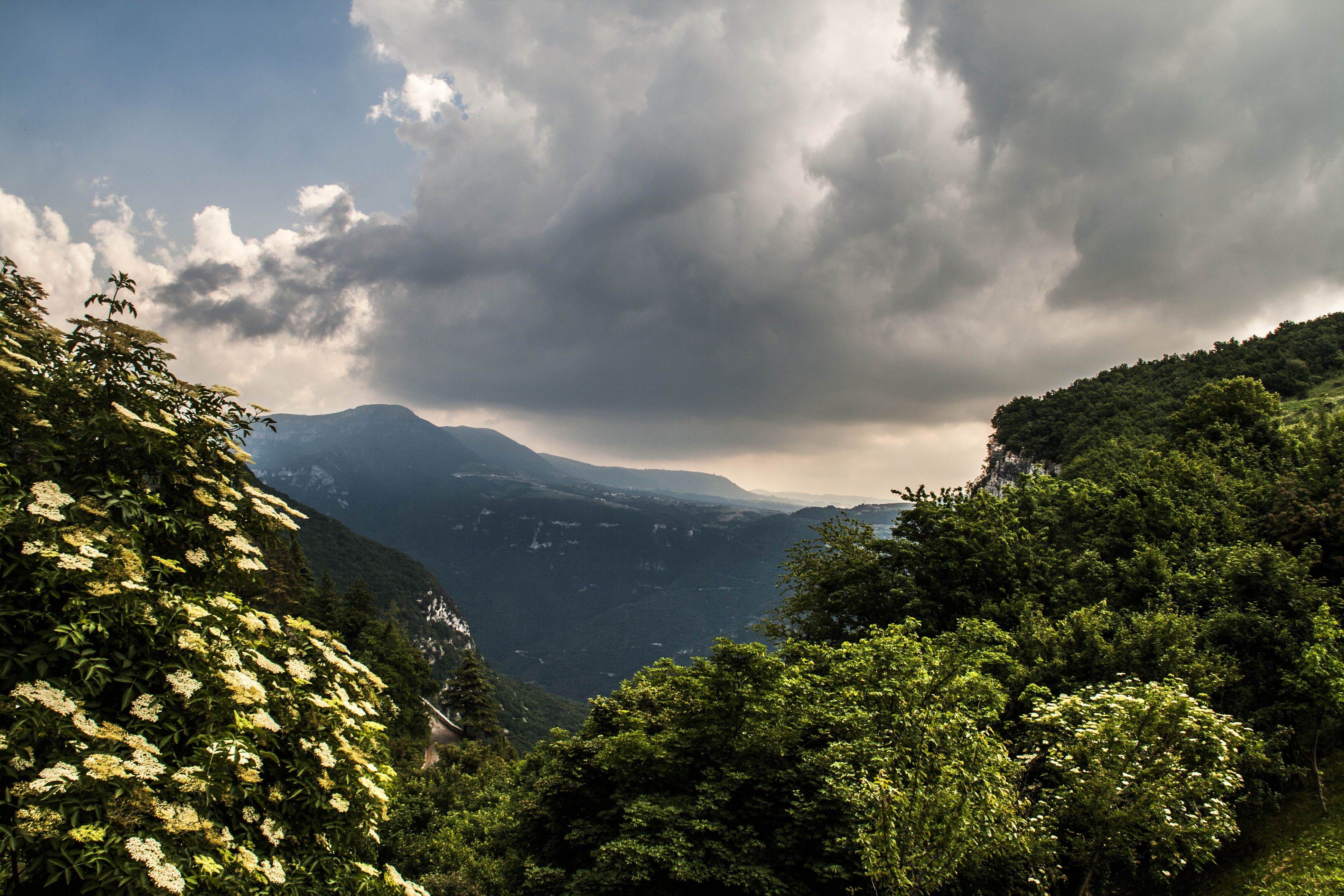 Spiazzi (Vr) Panorama Natura 