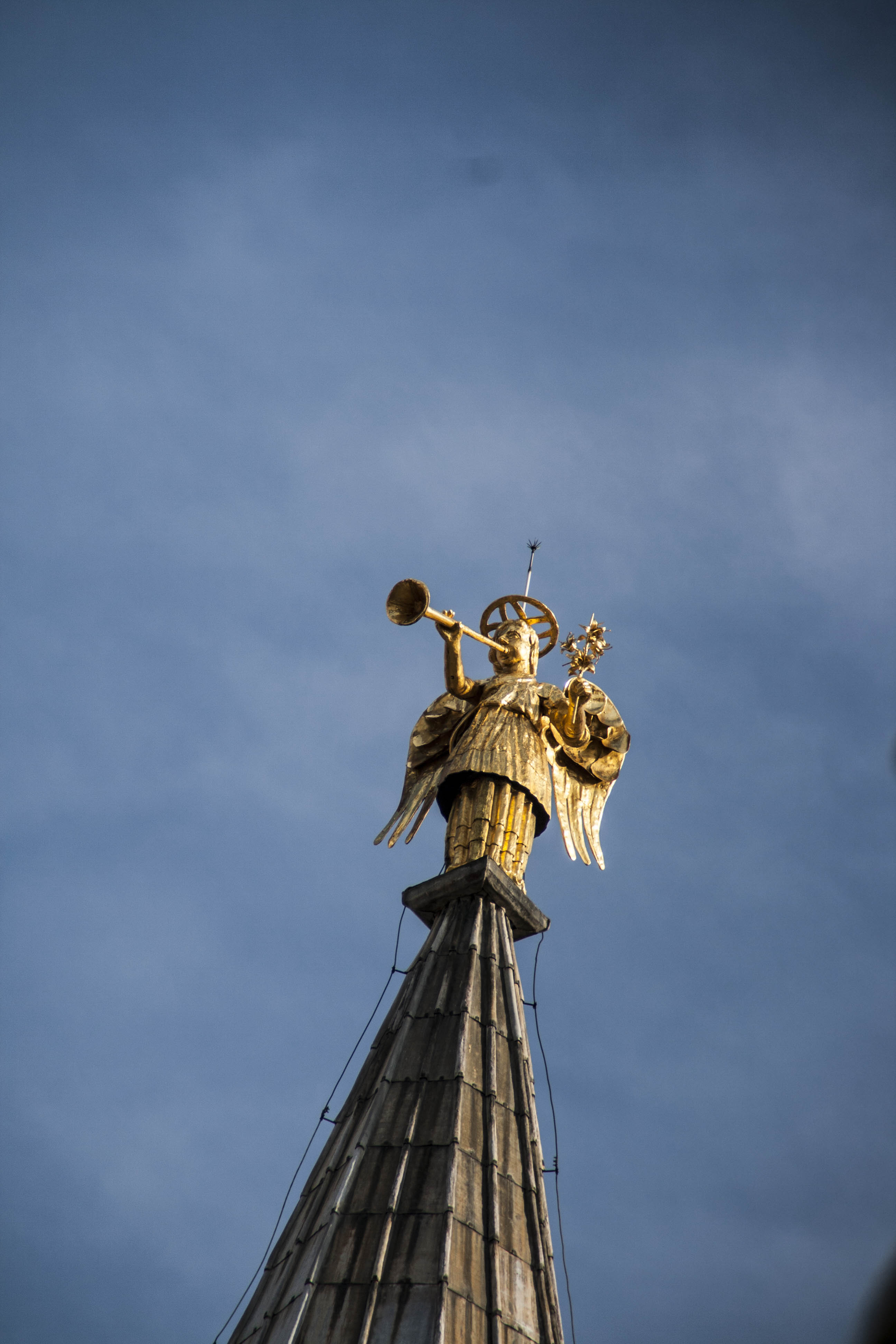 Padova Monumenti Edifici Particolare 