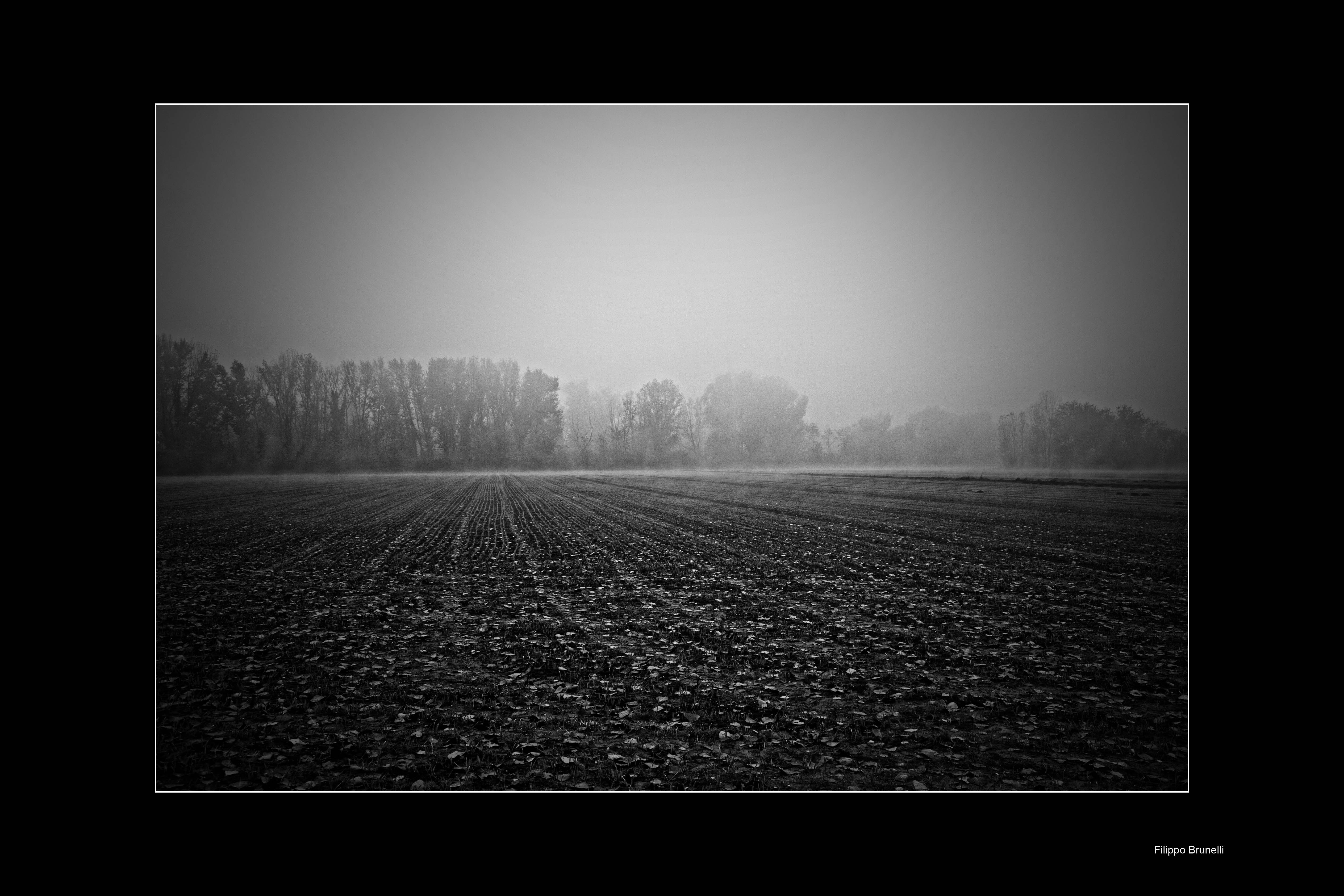 Verona Nebbia Campagna B/N 