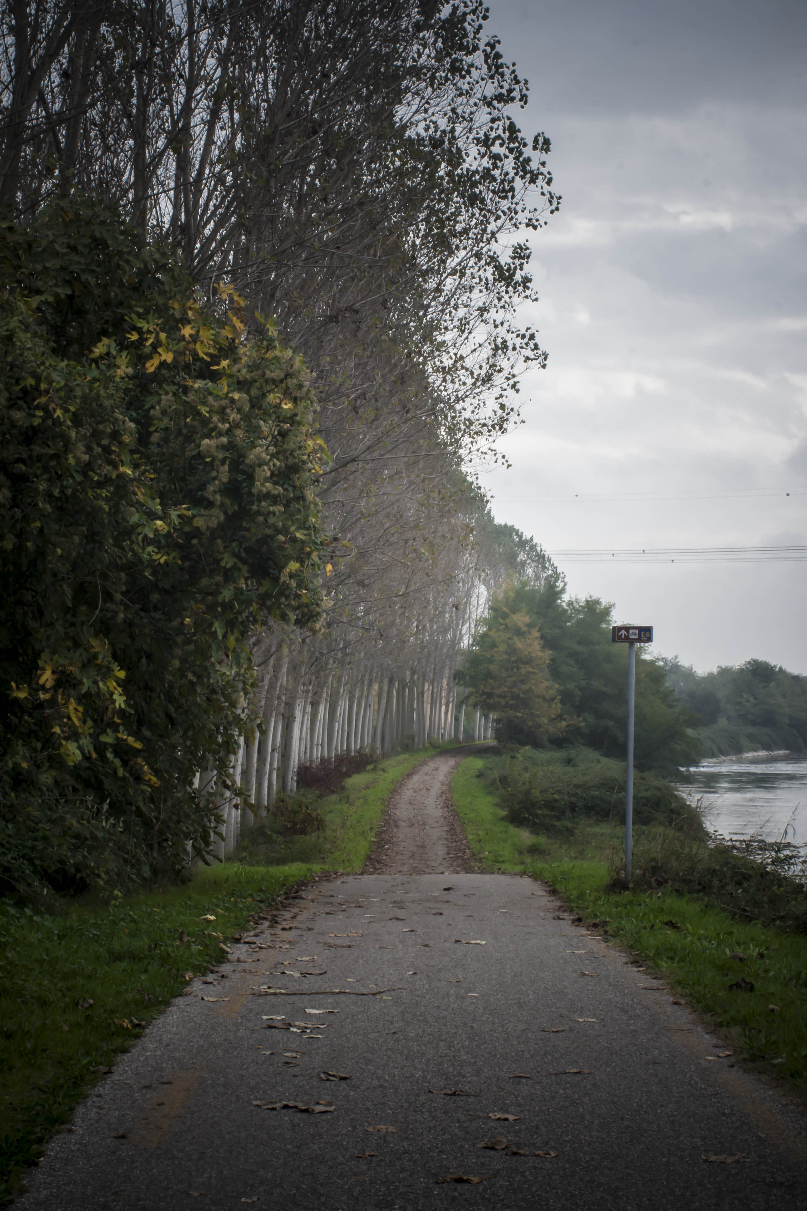 Borghetto (Vr) Strada Fiume Mincio 