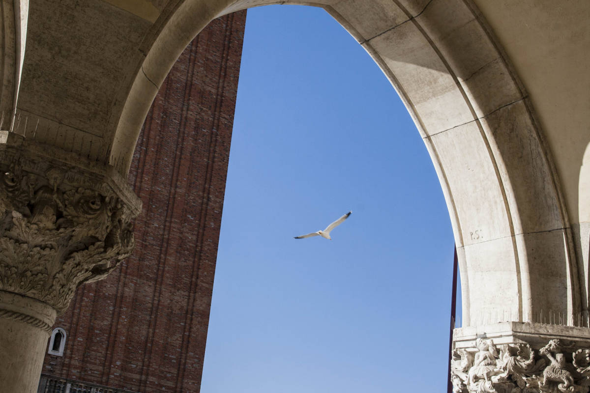 Venezia Edifici Monumenti Particolare 