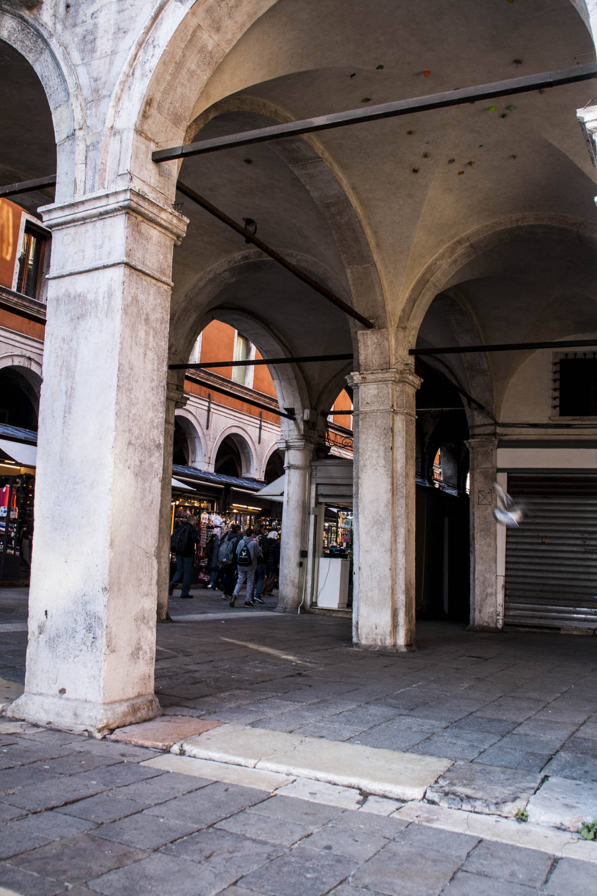 Venezia Edifici Monumenti Particolare 