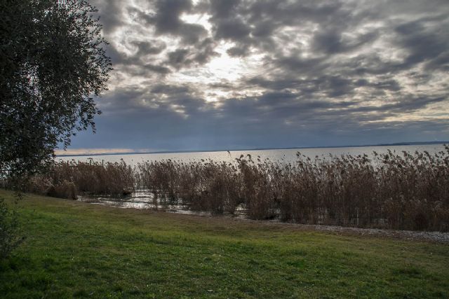 Bardolino Lago 