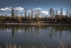 Parona (Vr) Adige Fiume Percorso lungo Adige da Parona a Pescantina