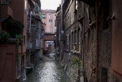 Bologna Fiume Particolare 