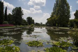 Valeggio sul Mincio (Vr) Fiori Natura Parco Sigurà