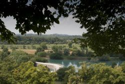 Valeggio sul Mincio (Vr) Fiori Natura Fiume Mincio