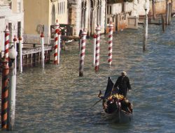 Venezia Canal Grande Gondole 