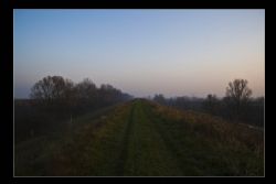 Ferrara Campagna Strada di campagna