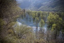 Nago (Tn) Lago di Loppio Natura 