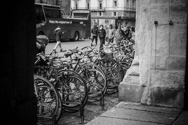 Bologna Biciclette B/N 