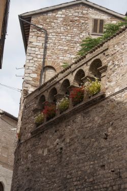 Spello Umbria Particolare 