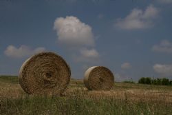 Crespellano (Bo) Covoni Natura 