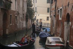 Venezia Canale Gondole 