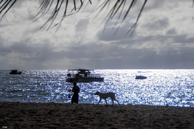 Brasile Mare Tramonto 