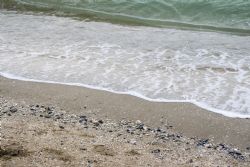 Marina di Ravenna Mare Natura 