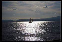 Bardolino (Vr) Lago di Garda Barca 