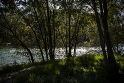 Verona Adige Fiume 