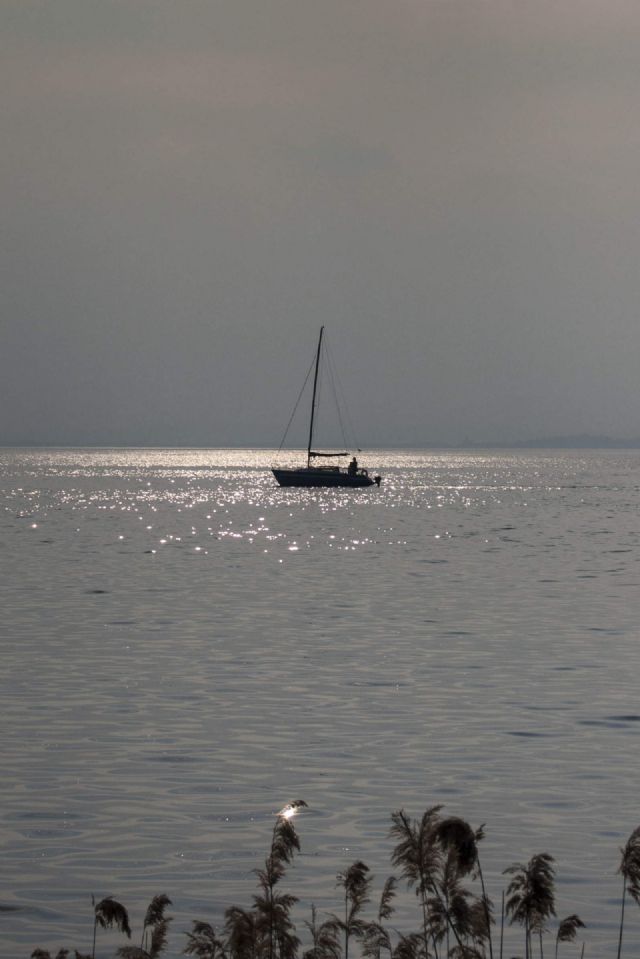 Lago di Garda Barca Lago 