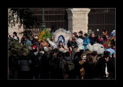 Verona Carnevale Verona Ballerine Brasiliane ballerina brasiliana a Verona durante un carnevale