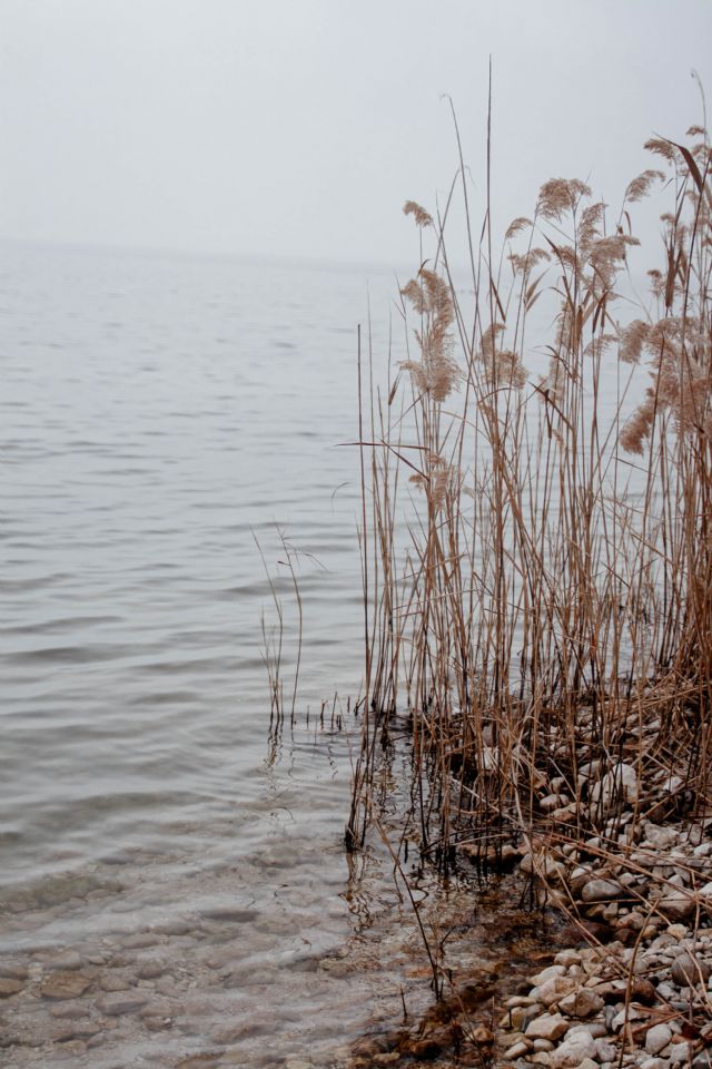 Lago di garda Natura 