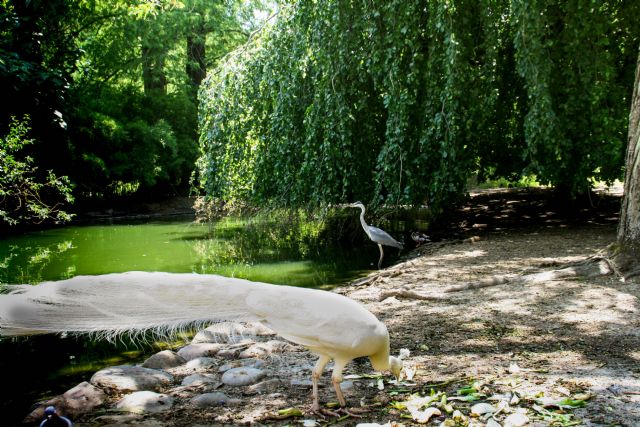 Faenza Parco Bucci 