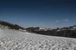 Crespellano (Bo) Neve Panorama Neve 