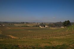 Negrar (Vr) Valpolicella Vigna Panorama 