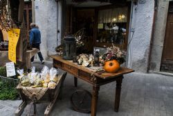 N/A Festa Sagra Sagra della Castagna