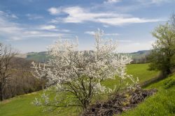 N/A natura Cielo Nuvole 