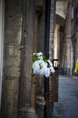 Perugia Umbria Particolare 