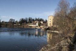 Parona (Vr) Adige Fiume Percorso lungo Adige da Parona a Pescantina