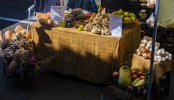 Bologna Festa Sagra San Looca Day 2015