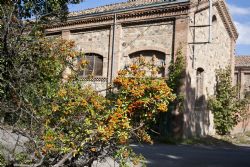 Savignano (Mo) Edificio Borgo 