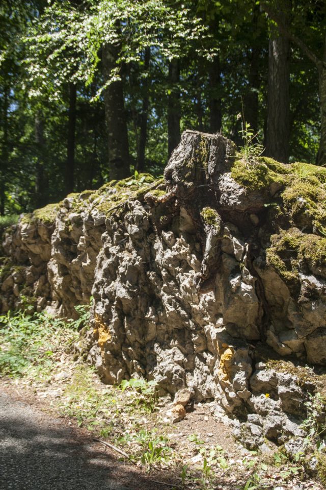 Lago di Cei Bosco 