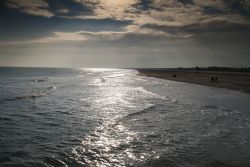 Marina di Ravenna Mare Natura natura 