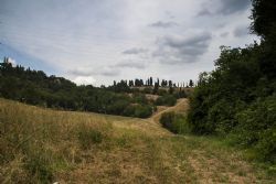 Parco dei Gessi Bolognesi e Calanche dell'Abbadessa (Bo) Natura Sentiero 