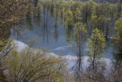 Nago (Tn) Lago di Loppio Natura 