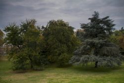 Faenza Autunno Cielo Alberi 