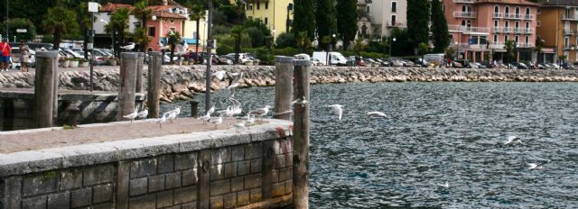 Lago di Garda Lago di Garda 