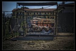 Sanguinetto Festa Sagra HDR Festa del Toro a Sanguinetto