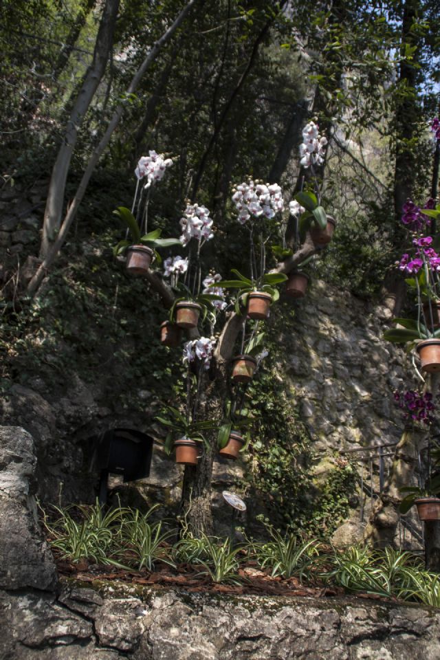 Cascata del Varone Natura Fiori 