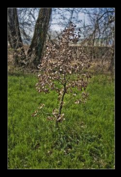 Vignola (Mo) Natura 