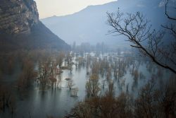 Nago (Tn) Lago di Loppio Natura 