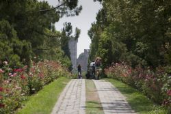 Valeggio sul Mincio (Vr) Fiori Natura Biciclette Sentiero Parco Sigurà